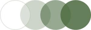 Cristal Fotocromático Color Verde. Óptica Online Optisalud. Chile, Santiago, Concepción, Temuco, Osorno